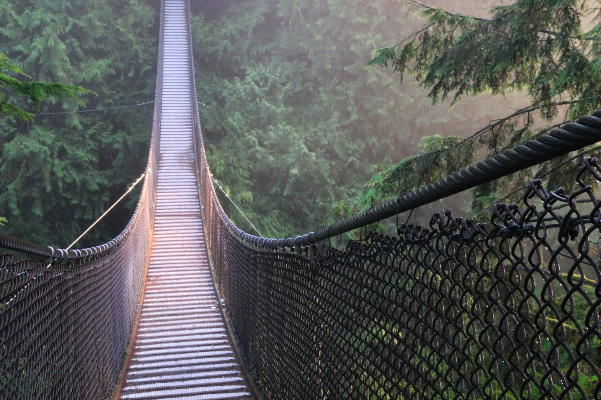 https://display.dailyhive.com/uploads/2025/09/vancouver-suspension-bridge.jpg