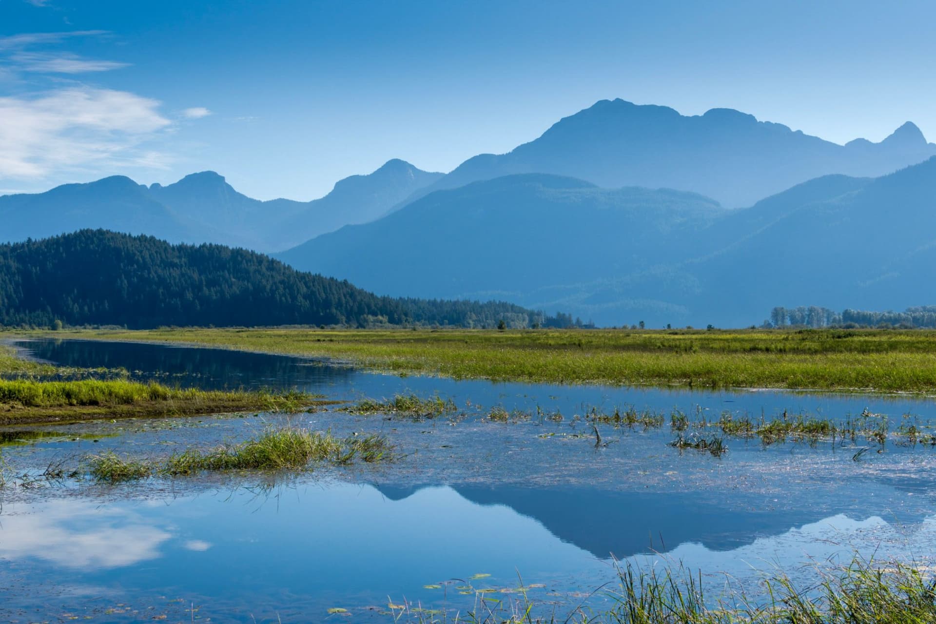 https://images-dh-production-baselayer.dailyhive.com/uploads/2025/10/metro-vancouver-park.jpg