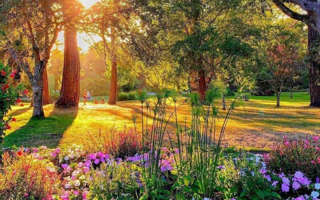 https://www.vancouverplanner.com/wp-content/uploads/2025/02/beacon-hill-park-victoria-1041x651.jpg